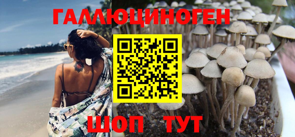 Галлюциногенные грибы ЛСД Кубинка